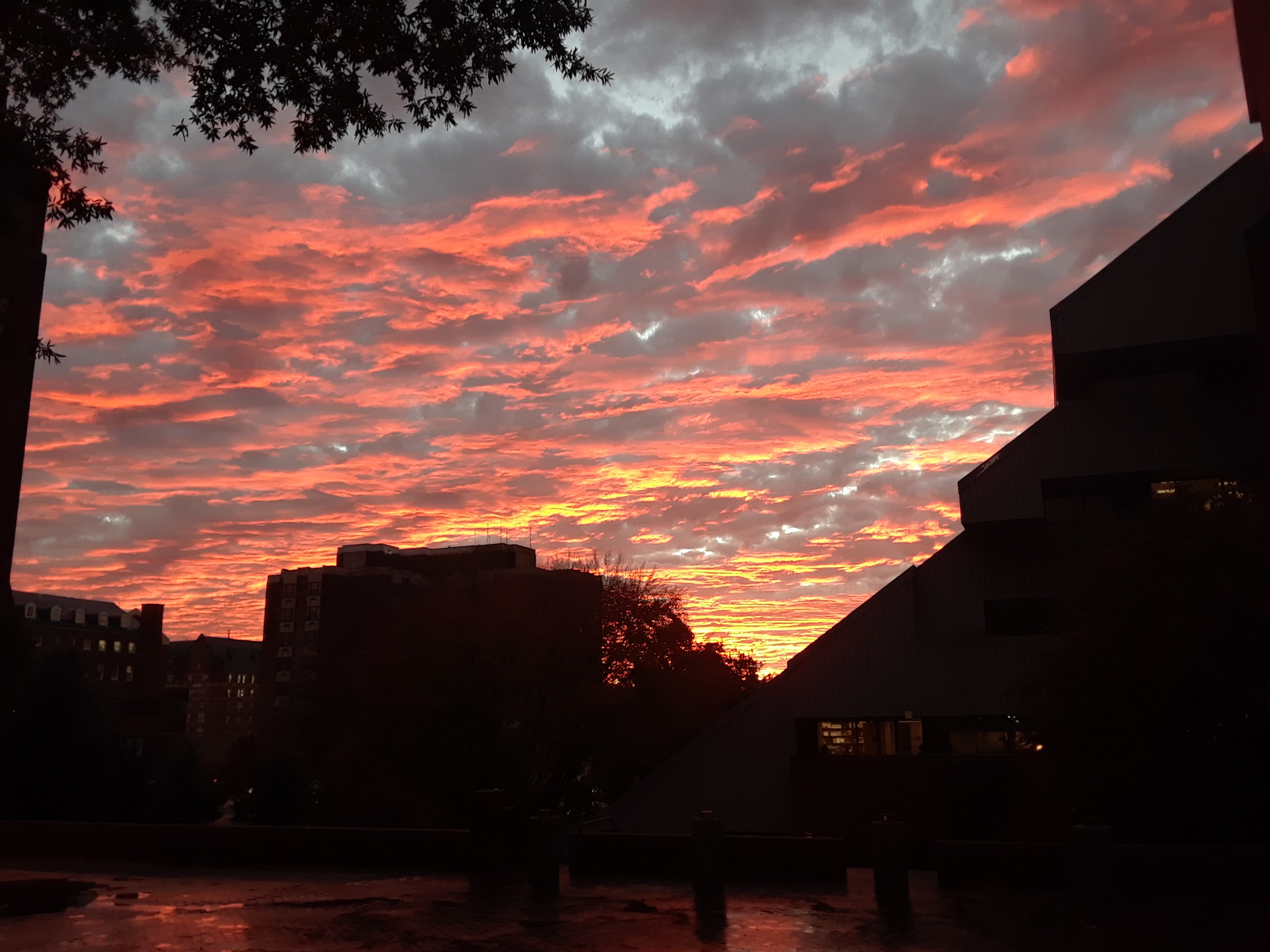 Red Square, early November 2018