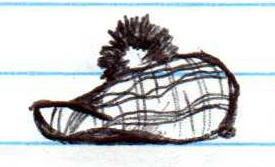 Tam, Ordering Cap and Gown for Commencement