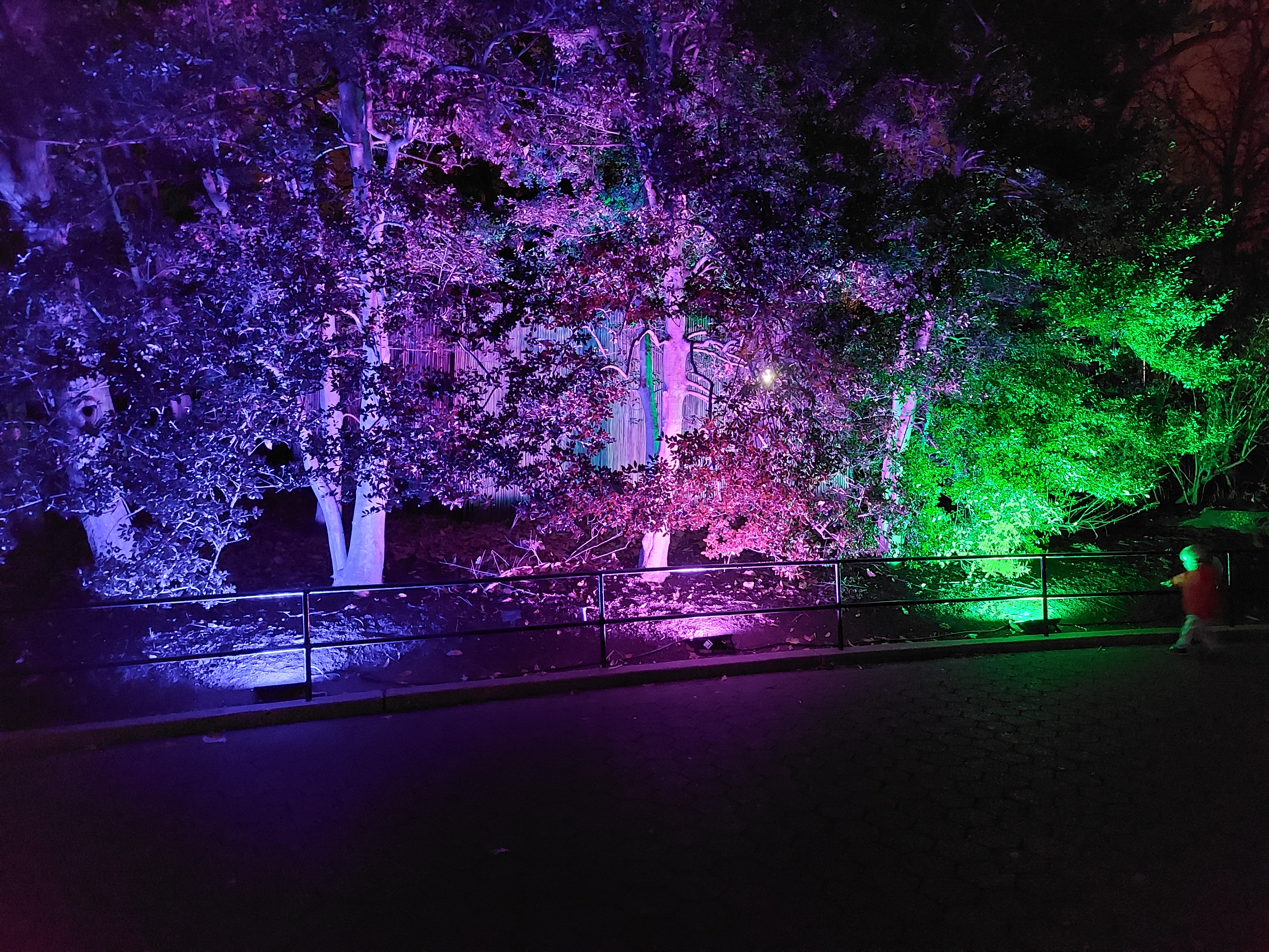 Light installation that vaguely looks like a Husker Du album, ZooLights 2022